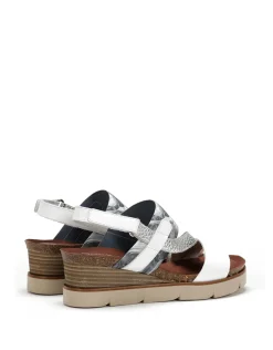AGNES D8786