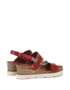 AGNES D8786