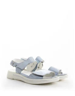 G-SINA 226002