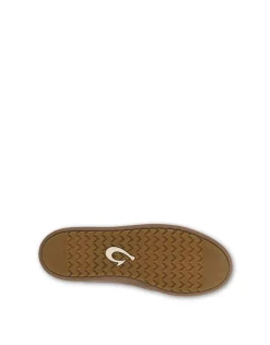 MOLINA 10501