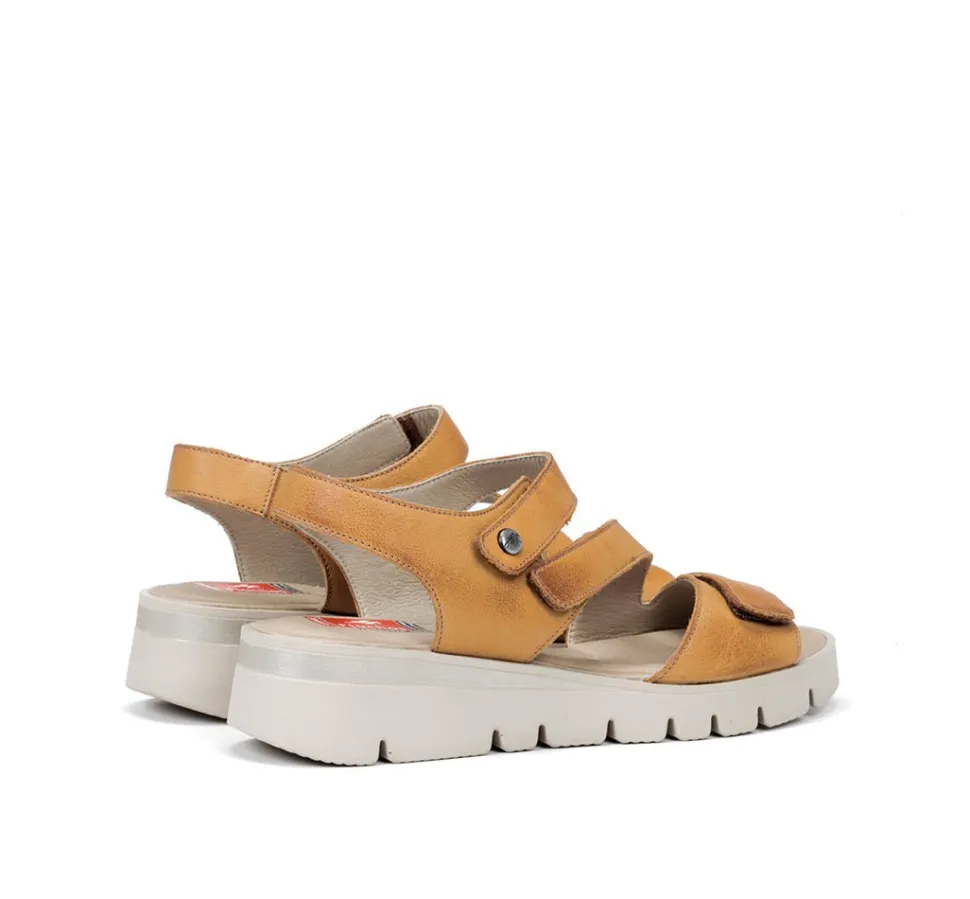 TEXA F0833